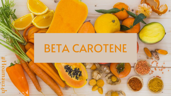 Giải mã về thành phần Beta carotene - Tiền chất vitamin A mà không phải ai cũng biết